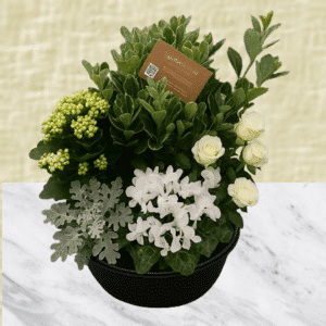 Fabienne - Coupe de plantes à dominante blanche.