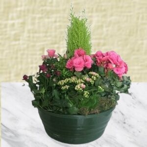 Fabienne - Coupe de plantes à dominante parme.