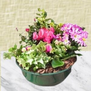Falone - Coupe de plantes à dominante rose pour extérieur