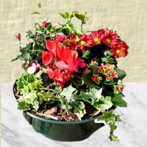 Fanchon - Coupe de plantes à dominante rouge pour extérieur.