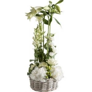 Francette - Arrangement de fleurs blanc et vert.