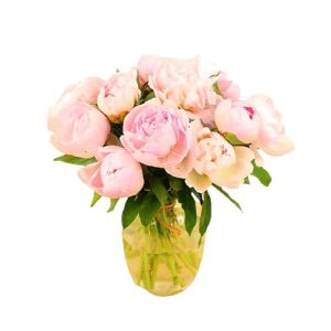 - Brassée de pivoines – Image 2