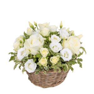 Blanche - Corbeille de roses blanches