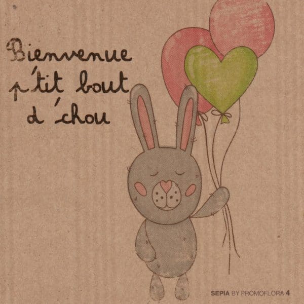 Carte message : Bienvenue p'tit bout d'chou