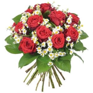 Bryan  - Bouquet rond de roses