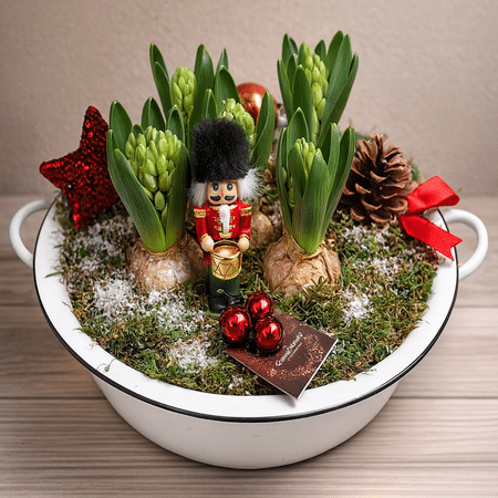 Noël - Assemblage de 5 jacinthes