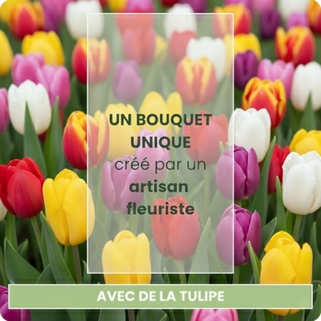 Brassée de tulipes