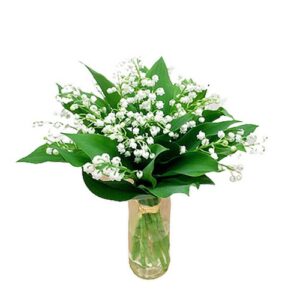 Muguet - Bouquet lié avec vase.