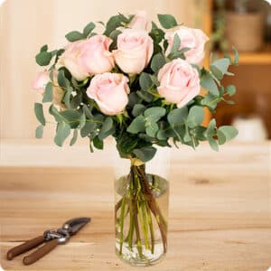 Béatrice - Roses roses