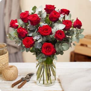 Babette - Roses rouges Naomie ou Explorer