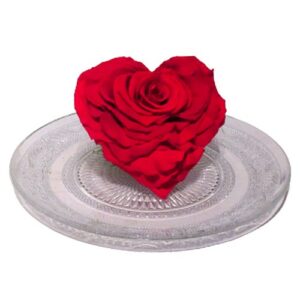 Rose éternelle en coeur
