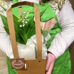 Muguet - La  simplicité