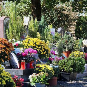 Fleurissement sépultures