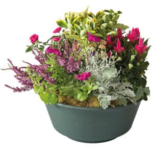 Coupe de plantes