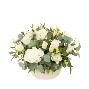 Brittanie - Composition de fleurs blanches