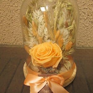 Terracotta : cloche 17 x 24 de fleurs séchées avec rose lyophilisée