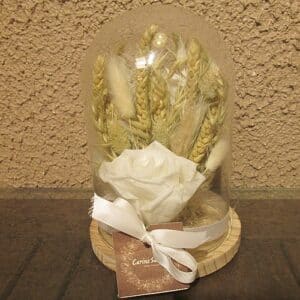 Blanc : cloche 14 x 27 de fleurs séchées avec rose lyophilisée