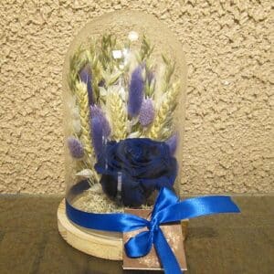 Bleu : cloche 14 x 27 de fleurs séchées avec rose lyophilisée