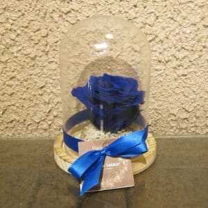 Bleu : cloche 12 x 16 avec rose lyophilisée