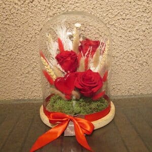 Rouge : cloche 22 x 30 de fleurs séchées avec roses lyophilisée