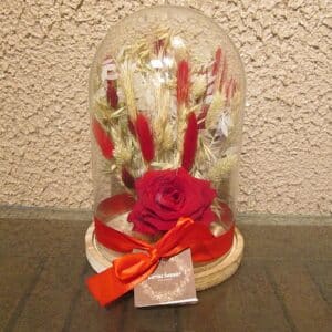 Rouge : cloche 17 x 24 de fleurs séchées avec rose lyophilisée