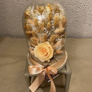 Saumon : cloche 17 x 24 de fleurs séchées avec rose lyophilisée.
