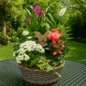 Valérie - Corbeille de plantes