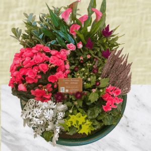 Florence - Coupe de plantes rose et parme