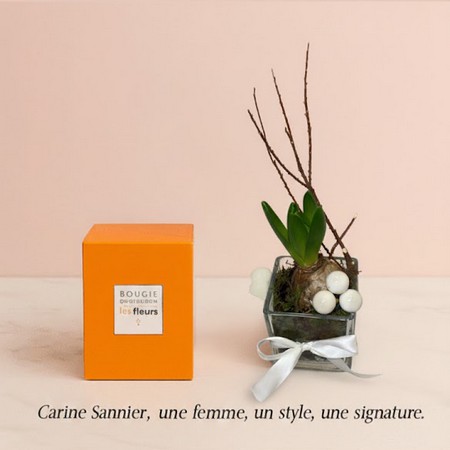 Bougie et verrerie de jacinthe